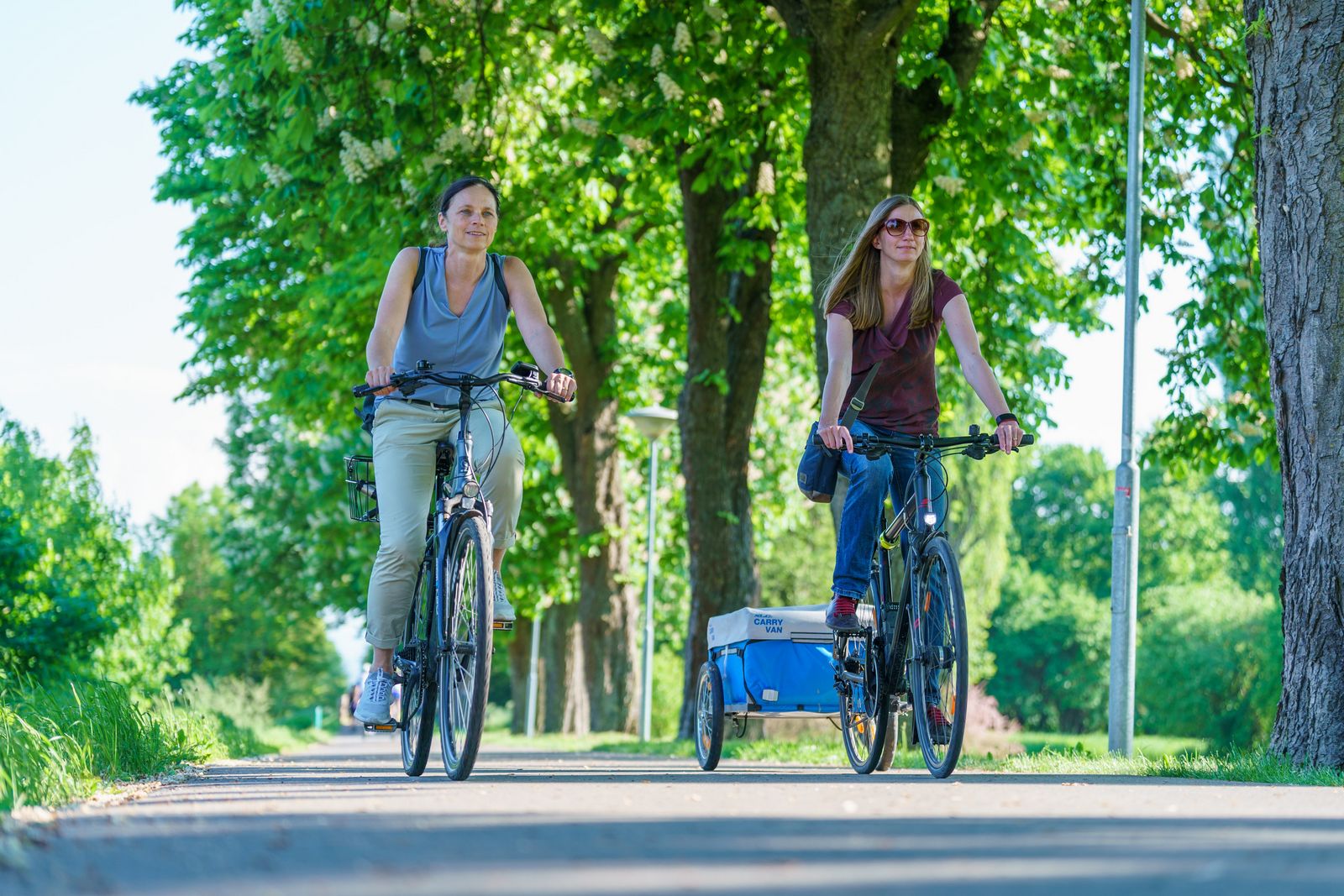 2 Fahrradfahrer auf dem Fahrradweg